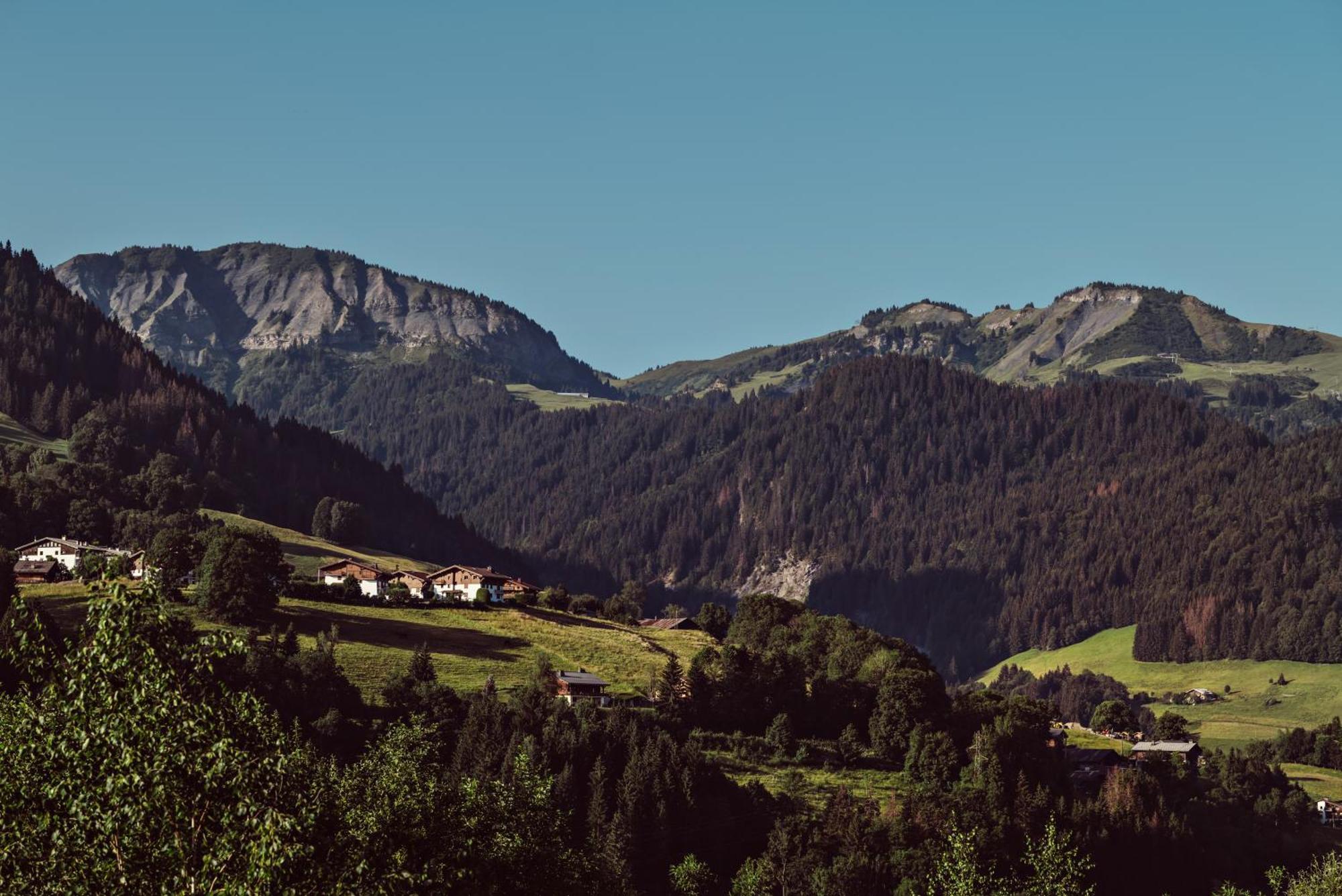 L'alpaga, A Beaumier 5*